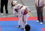 Taekwondo Turning Head Kick 2014 Nationals
