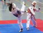 Adel Taekwondo Sparring at 2014 Nationals