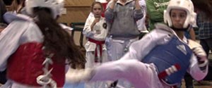 Adel's Taekwondo Pages | Sparring | Poomsae